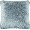 SAFAVIEH Soleil Indoor/Outdoor Shag Throw Pillow, 22″x22″, Champagne(Blue)