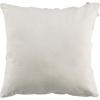 Safavieh Home Collection Daphne White 20 x 20-inch Decorative Accent Pillow