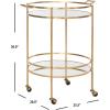 Safavieh Home Collection Lavinia Silver Bar Cart(Gold / Mirror)