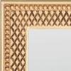 Safavieh Home Collection Lerson 30 x 60-inch Golden Olive Rectangular Decorative Mirror(Golden Olive)