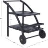 Safavieh Outdoor Living Collection Lodi Tea Cart(Black)
