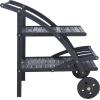 Safavieh Outdoor Living Collection Lodi Tea Cart(Black)