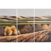 SAFAVIEH ART2023A Art Collection Harvest Dreams Triptych Wall Art