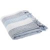 SAFAVIEH Brenton Fringe Throw Blanket, Blue/White
