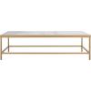 SAFAVIEH Couture Collection Caralyn White Marble/Brass Rectangular Coffee Table
