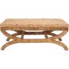 SAFAVIEH Couture Collection Caycee Coastal Tropical Natural Water Hyacinth Solid Wood Table (Fully Assembled)
