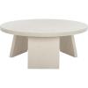 SAFAVIEH Couture Collection Julianna Mid-Century Modern Black Round Coffee Table(White Washed)