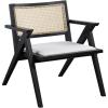 SAFAVIEH Couture Home Collection Krystine Coastal Black Rattan Back Living Room Dining Accent Chair SFV4131A(Black)