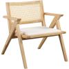 SAFAVIEH Couture Home Collection Krystine Coastal Black Rattan Back Living Room Dining Accent Chair SFV4131A(Natural)