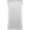 Safavieh Home Collection Lerson 30 x 60-inch Golden Olive Rectangular Decorative Mirror(Silver)