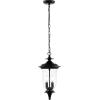 SAFAVIEH Lighting Collection Dowell Black 2-Light Extendable Outdoor Pendant