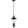 SAFAVIEH Lighting Collection Dowell Black 2-Light Extendable Outdoor Pendant