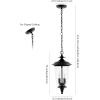 SAFAVIEH Lighting Collection Dowell Black 2-Light Extendable Outdoor Pendant