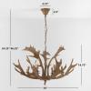 SAFAVIEH Lighting Collection Dresden Rustic Farmhouse Brown Antler Chandelier