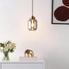 SAFAVIEH Lighting Collection Ethyx Smoke Grey/Brass Adjustable Pendant Hanging Light Fixture, Ideal for Dining Room, Kitchen Island, Entryway (LED Bulb Included)