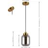 SAFAVIEH Lighting Collection Ethyx Smoke Grey/Brass Adjustable Pendant Hanging Light Fixture, Ideal for Dining Room, Kitchen Island, Entryway (LED Bulb Included)