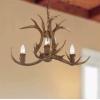 Safavieh Lighting Collection Makani 21.5″ Antler Brown Chandelier