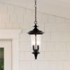 SAFAVIEH Lighting Collection Dowell Black 2-Light Extendable Outdoor Pendant