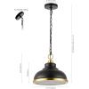 SAFAVIEH Lighting Collection Bastion Oil-Rubbed Bronze Adjustable Pendant Hanging Light Fixture, Ideal for Dining Room, Kitchen Island, Entryway (LED Bulb Included)