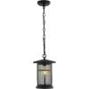 SAFAVIEH Lighting Collection Osprey Black Extendable Outdoor Pendant