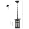 SAFAVIEH Lighting Collection Osprey Black Extendable Outdoor Pendant