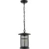 SAFAVIEH Lighting Collection Osprey Black Extendable Outdoor Pendant