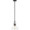 SAFAVIEH Lighting Collection Raylen Clear/Orb Adjustable Pendant Hanging Light Fixture, Ideal for Dining Room, Kitchen Island, Entryway (LED Bulb Included)