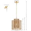SAFAVIEH Lighting Collection Ryoa Natural/Gold Adjustable Pendant Hanging Light Fixture, Ideal for Dining Room, Kitchen Island, Entryway (LED Bulb Included)(Natural/Gold)