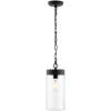 SAFAVIEH Lighting Collection Lianne Black Extendable Outdoor Pendant