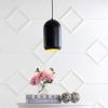 SAFAVIEH PND4040A Lighting Collection Carisir Chic Minimalist 86-inch Black Pendant, 14″ H