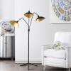 SAFAVIEH Lighting Collection Iris Mid-Century Modern Contemporary Retro Black/ Gold 70-inch Living Room Bedroom Home Office Standing Floor Lamp (LED Bulb Included)(Black / Gold)
