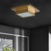 SAFAVIEH Lighting Collection Kylin Gold Flush Mount (LED Bulbs Included)