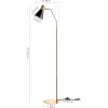 Safavieh Lighting Collection Grania Gold and Black 60-inch Floor Lamp