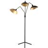 SAFAVIEH Lighting Collection Iris Mid-Century Modern Contemporary Retro Black/ Gold 70-inch Living Room Bedroom Home Office Standing Floor Lamp (LED Bulb Included)(Black / Gold)