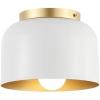 SAFAVIEH Lighting Collection Peale Modern Contemporary White/Gold Flush Mount (LED Bulb Included)