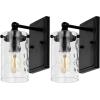 SAFAVIEH Lighting Collection Jobie Brass/Glass Shade Wall Sconce Set of 2 Light Fixture, Ideal for Bathroom, Entryway, Vanity, Foyer, Hallway, Living Room (LED Bulbs Included)(Black)