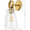 SAFAVIEH Lighting Collection Taelor Brass/Clear Glass Shade Wall Sconce Set of 2 Light Fixture, Ideal for Bathroom, Entryway, Vanity, Foyer, Hallway, Living Room (LED Bulbs Included)