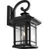 SAFAVIEH PLT4011A Lighting Cendra Black Wall (LED Bulb Included) Outdoor Lantern