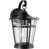 SAFAVIEH PLT4015A Raine Oil-Rubbed Bronze (LED Bulb Included) Outdoor Lighting