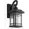 Safavieh Lighting Lolia Black Outdoor Wall Lantern (LED Bulb Included)