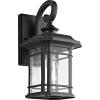 Safavieh Lighting Lolia Black Outdoor Wall Lantern (LED Bulb Included)