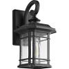 Safavieh Lighting Lolia Black Outdoor Wall Lantern (LED Bulb Included)