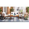 SAFAVIEH Outdoor Collection Alda Natural/Beige Cushion with Black Piping/Stripe Bolster Pillow 4-Piece Conversation Patio Set(Natural/Beige)