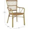 SAFAVIEH Outdoor Collection Bora Tropical Brown Patio Arm Chair Set of 2 (Fully Assembled)