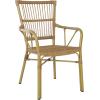 SAFAVIEH Outdoor Collection Bora Tropical Brown Patio Arm Chair Set of 2 (Fully Assembled)