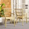 SAFAVIEH Outdoor Collection Bora Tropical Brown Patio Arm Chair Set of 2 (Fully Assembled)