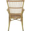 SAFAVIEH Outdoor Collection Bora Tropical Brown Patio Arm Chair Set of 2 (Fully Assembled)