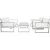SAFAVIEH Outdoor Collection Emiko Natural/Beige Cushion Solid Wood 4-Piece Conversation Patio Set(Grey/Beige)