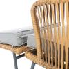 SAFAVIEH Outdoor Collection Lonra Natural Rattan/Grey Cushion 7-Piece Patio Chaise Lounge Set (PAT9019A-2BX)(Natural / Grey)