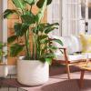 SAFAVIEH Outdoor Collection Nardo Beige Cement Ficonstone Planter Pot(Beige)
